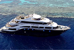 All Star Liveaboards