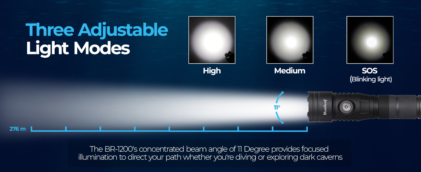 1200 dive light 