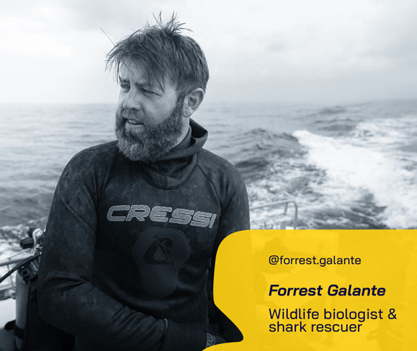Forrest Galante
