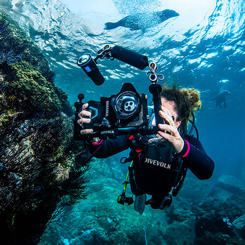 Underwater Phone Housings
