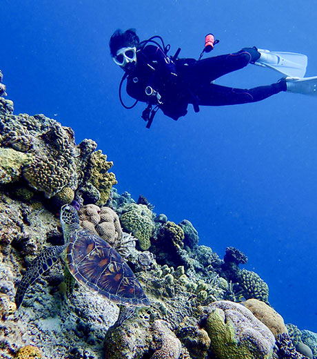 About Lindy; Divemaster & Scuba.com NY Sales Associate