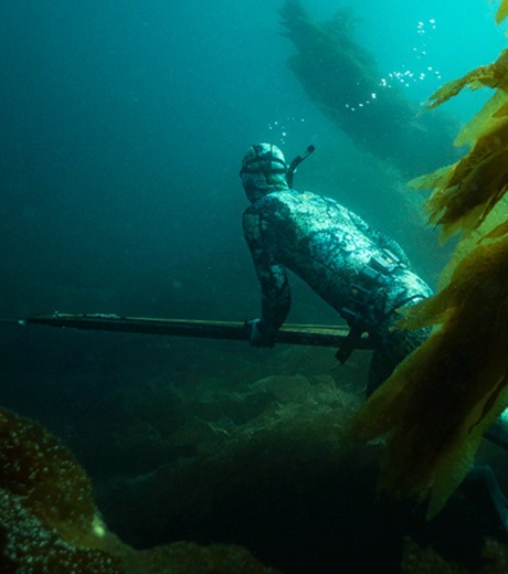 Riffe Spearguns