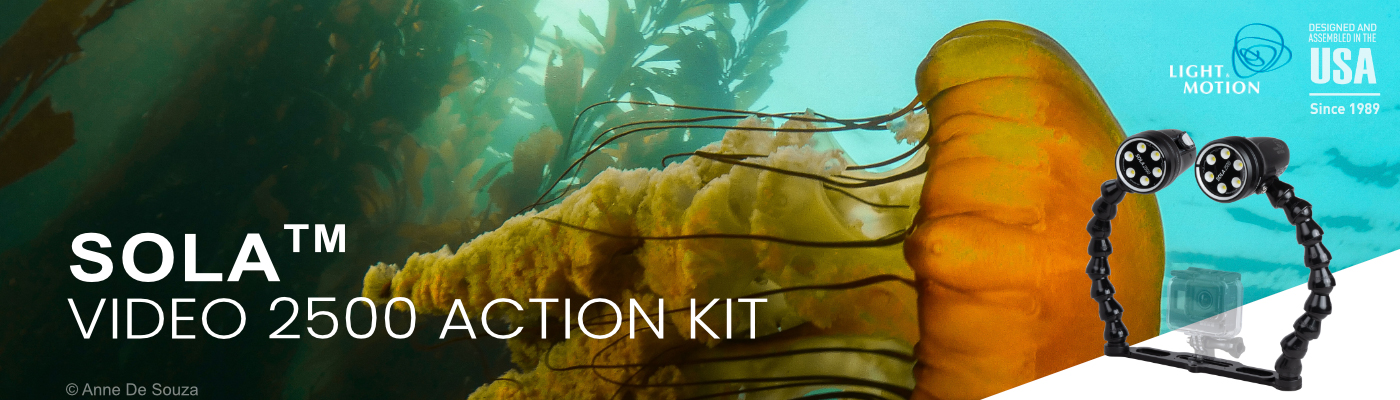 2500 action kit banner