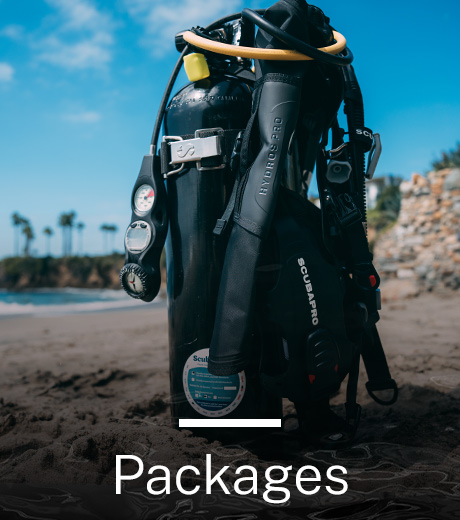 Scuba Packages