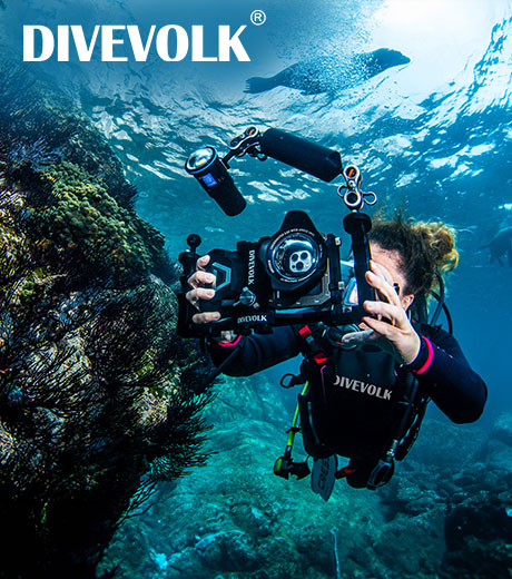 Divevolk | Capture More Below
