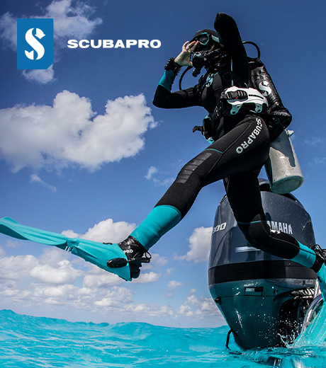Scuba Diving Scubapro Diving Sticker 