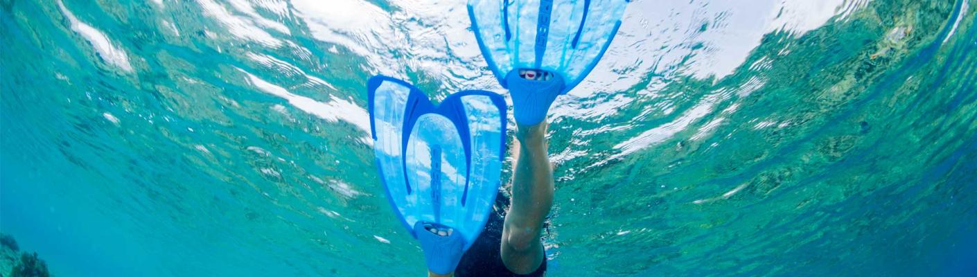 Snorkeling Fins