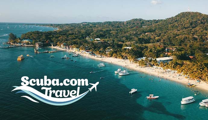 Book Your Next Dive Trip with Scuba.com