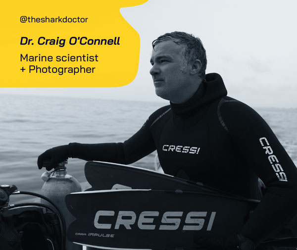 Dr. Craig O'Connell