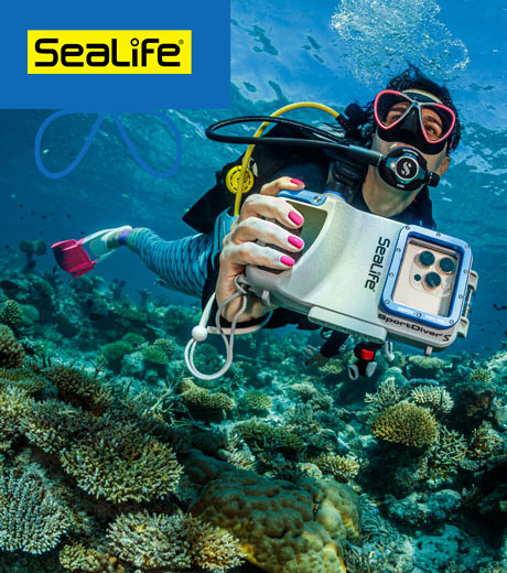 Sealife | SportDiver S