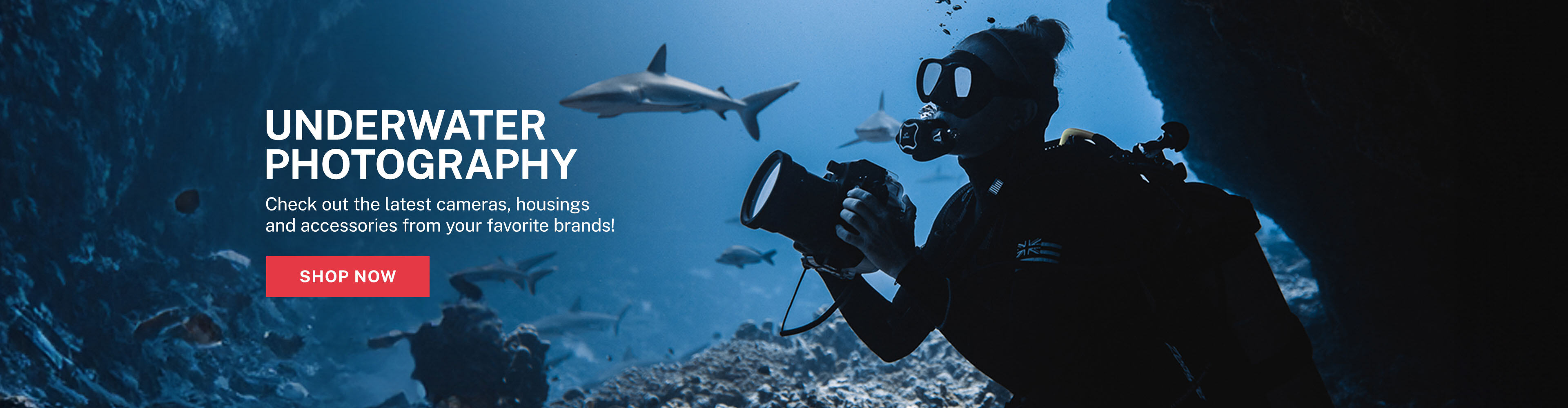 Underwater Photography