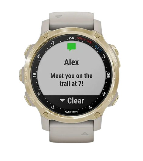Garmin Descent MK2S Dive Smart Watch
