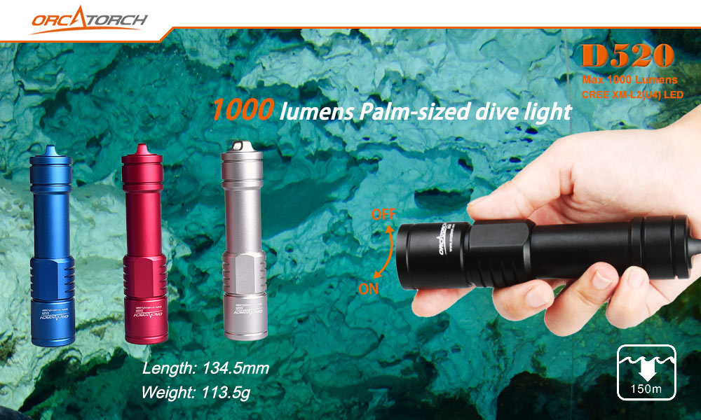 Orca Torch D520