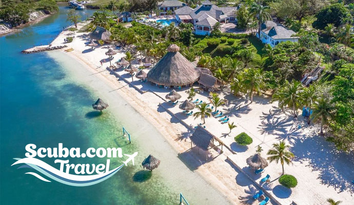 Book Your Next Dive Trip with Scuba.com