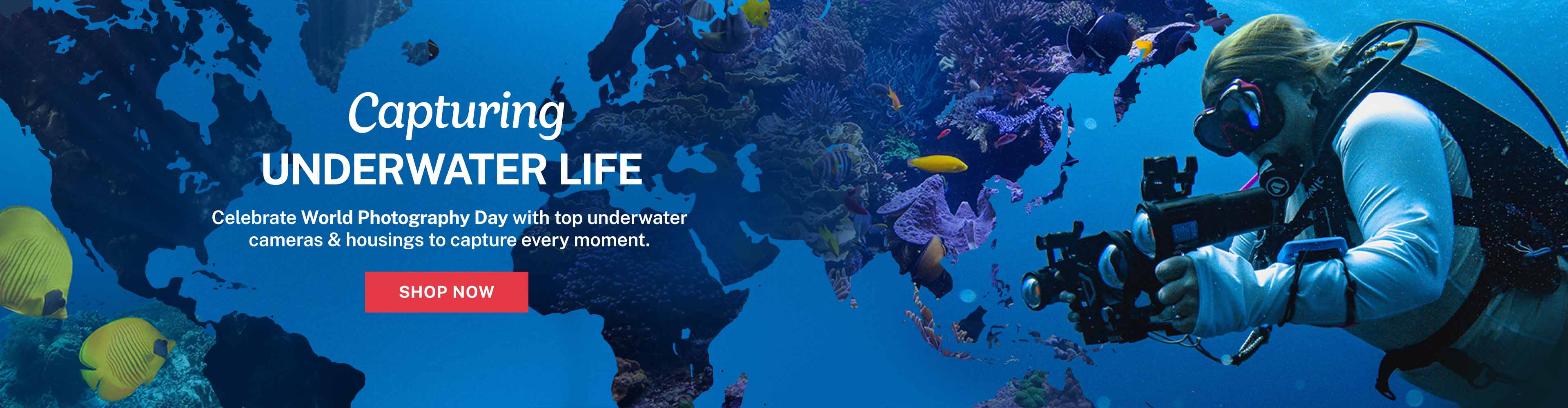 Celebrating World Photography Day