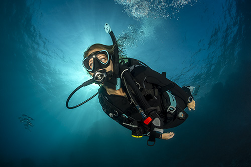 ENGINEERED FOR PEAK PERFORMANCE