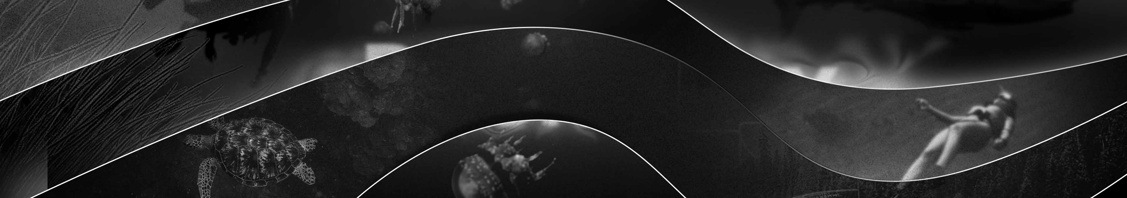 END - BLACK FRIDAY DEALS