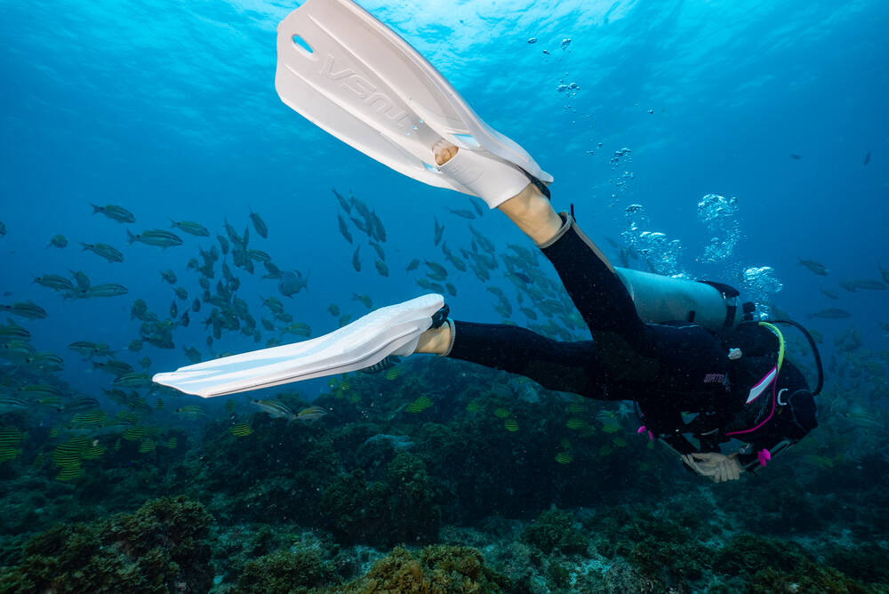Tusa Travel Right Fins