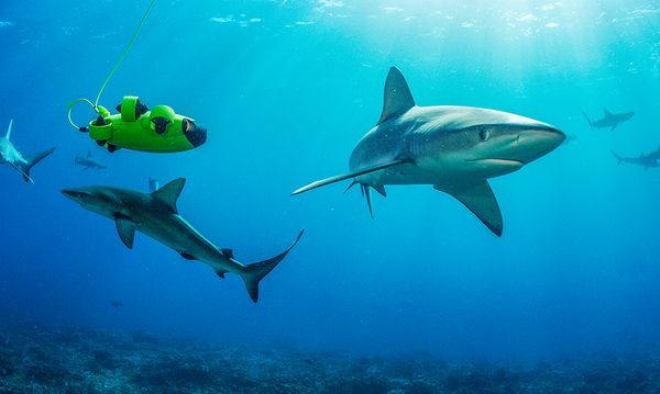 World’s First 4K Omni-directional Consumer Underwater Drone