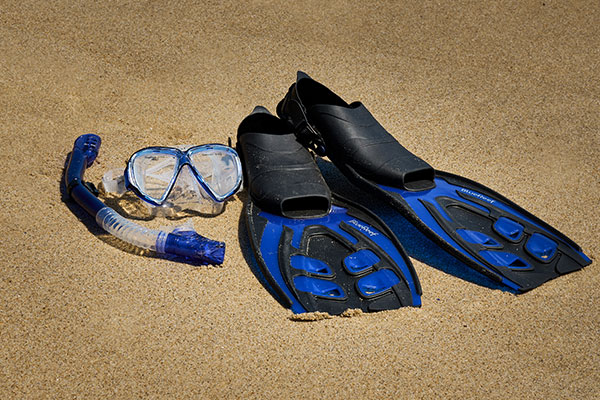 Blue Reef Valiant Set