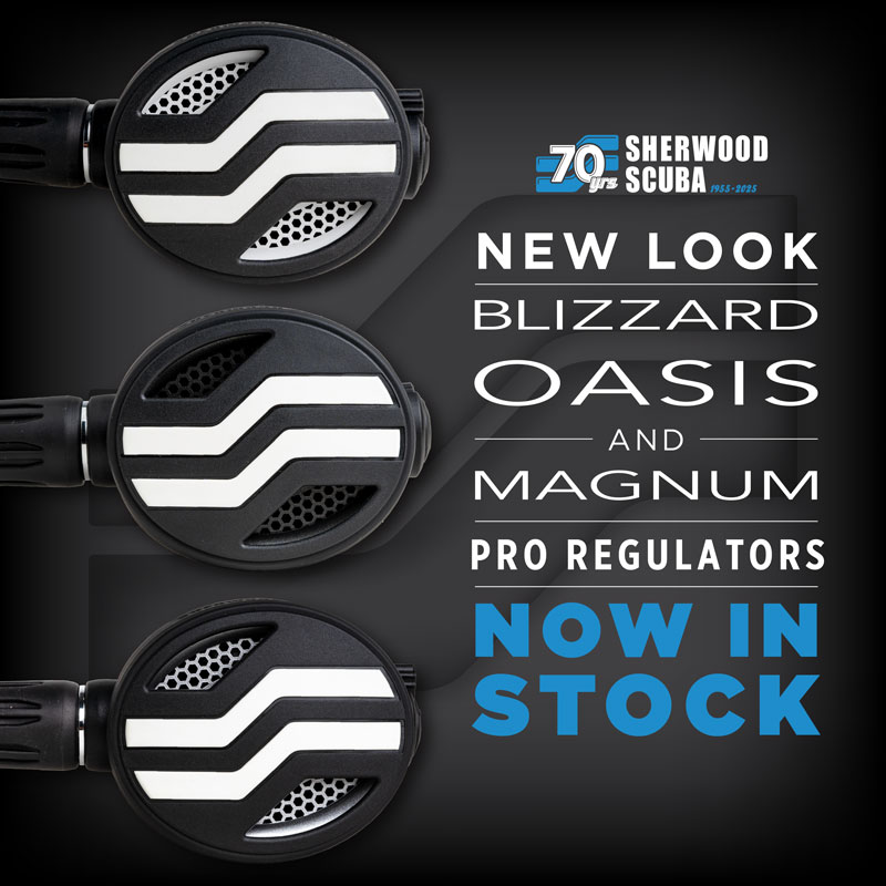 Celebrating Sherwood's 70th Anniversary