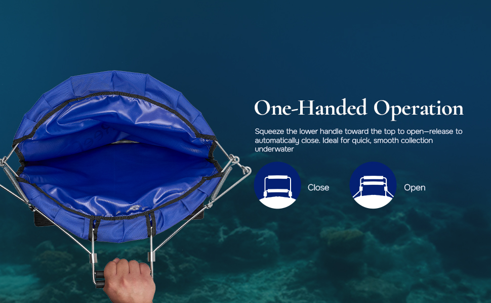 Blue Reef Lobster Fish Catch Gear