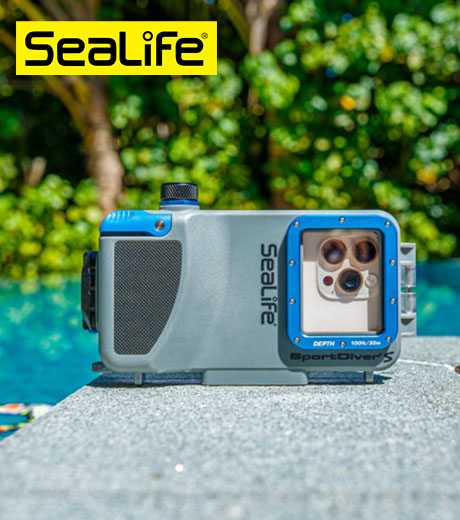 SeaLife | Underwater Photography