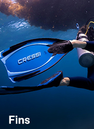Fins