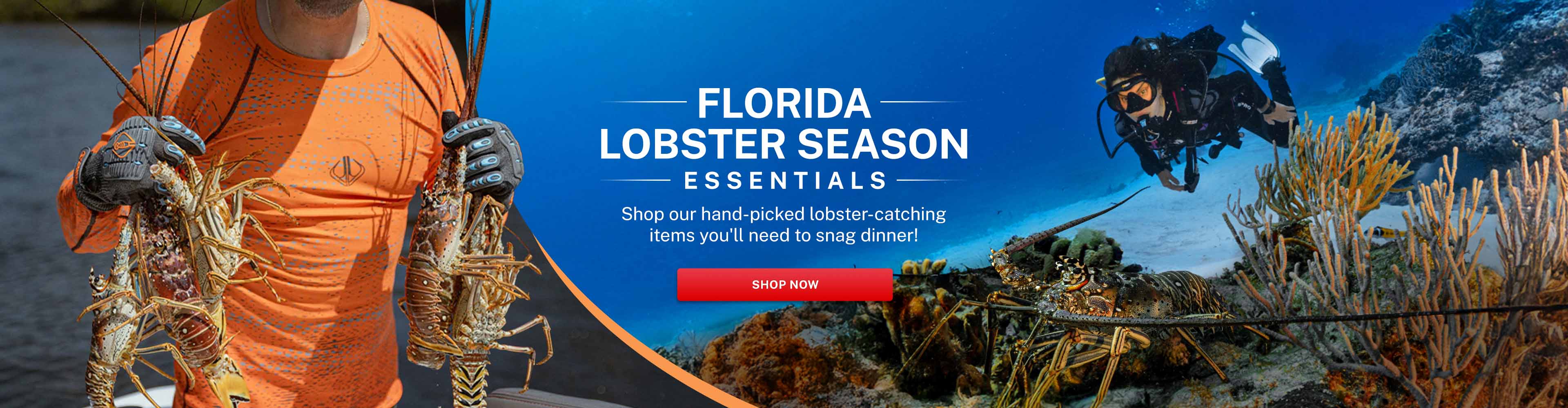 Florida Lobster Season 