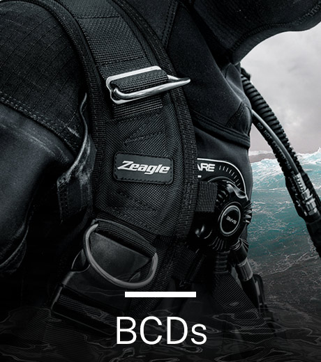 BCDS