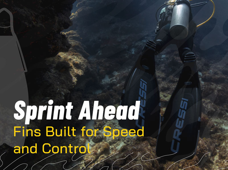 Fins Built for Speed and Control