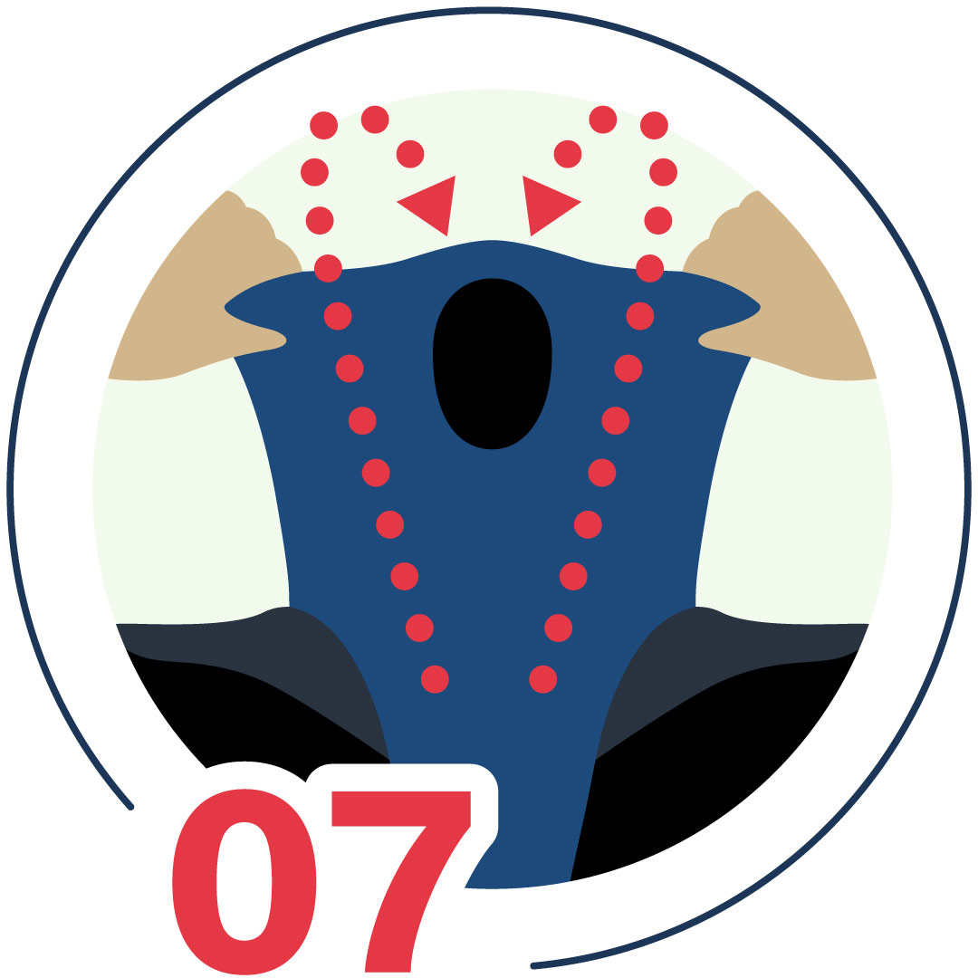 wetsuit donning guide