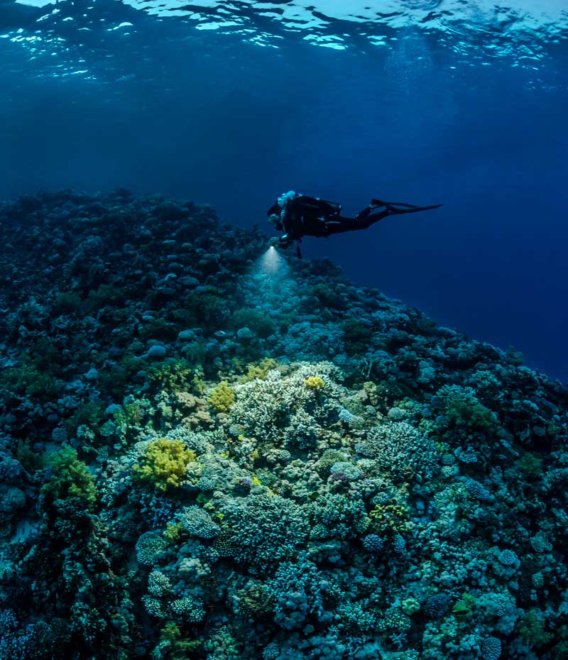 Lighting: The Key to Vibrant Shots