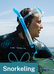 The Skilled Snorkeler
