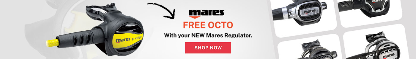 Free Mares Octo