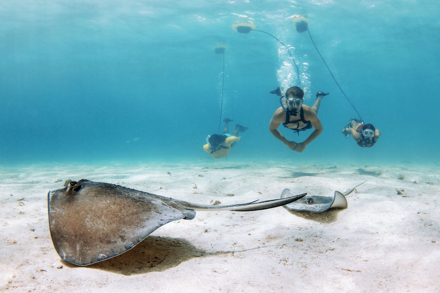 BLU3 Nemo + Backpack Dive System