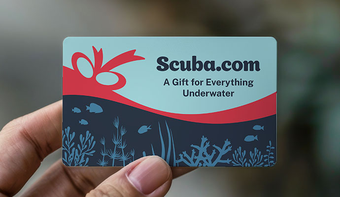 Gift Cards | The Gift that Always Fits