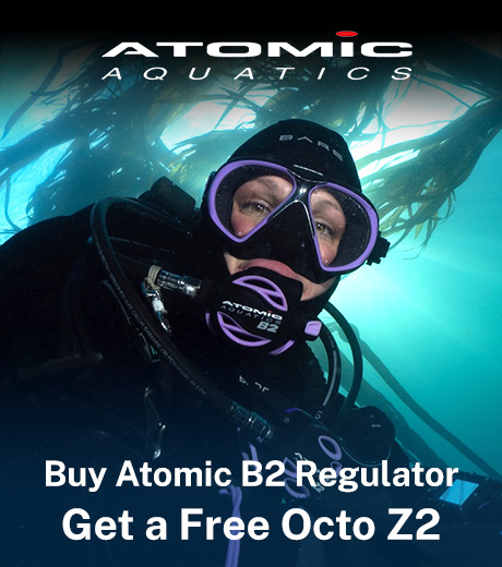 Atomic Free Octo with Purchase of Regulator