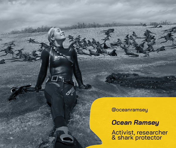 Ocean Ramsey