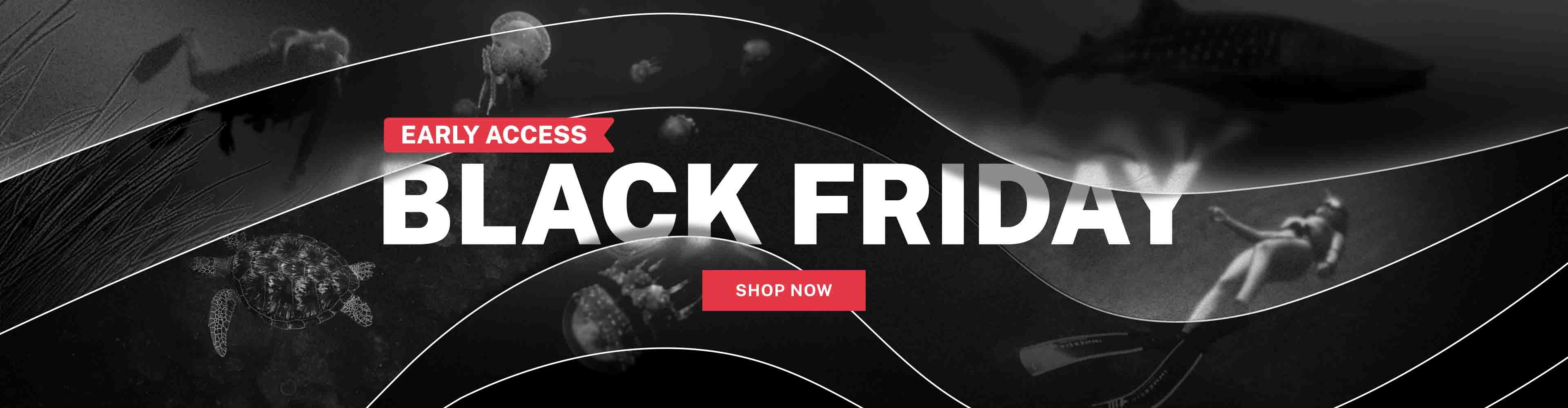 Black Friday Early Access Deals Start Now!