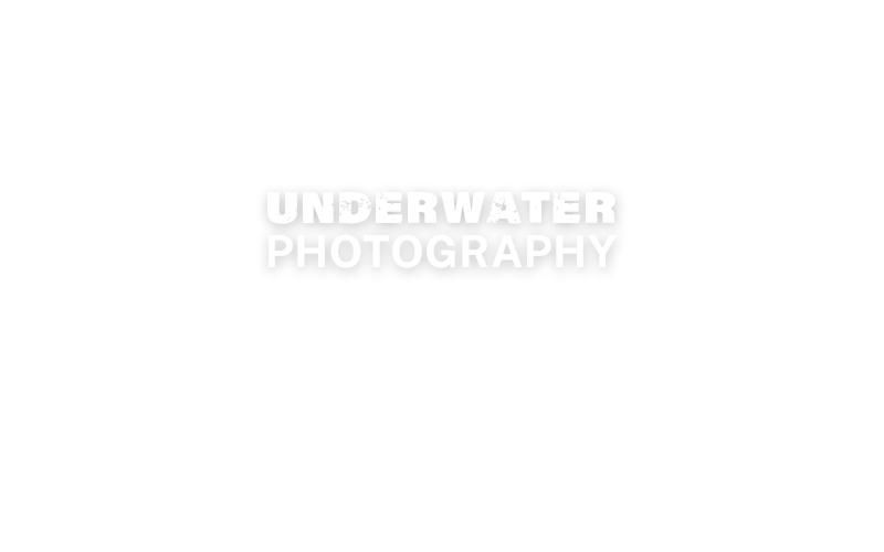 Underwater Photography - Check out top Photography Gear