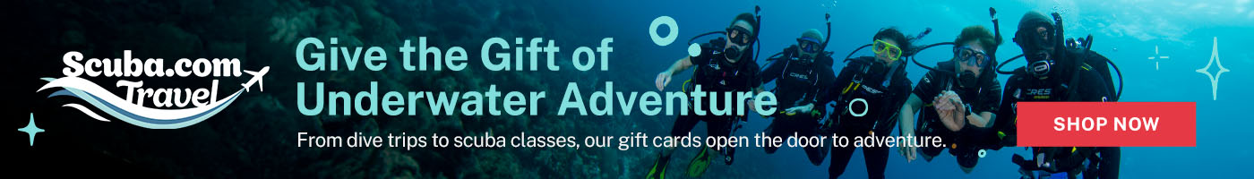 Give the Gift of Adventure