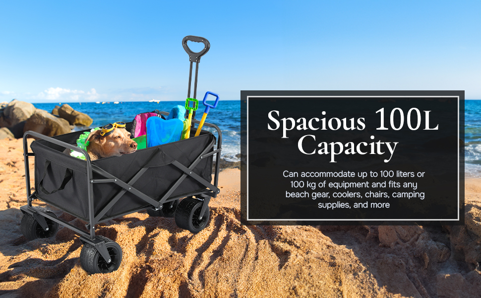 Blue Reef Beach Cart  