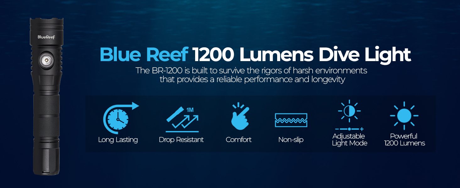 1200 dive light 