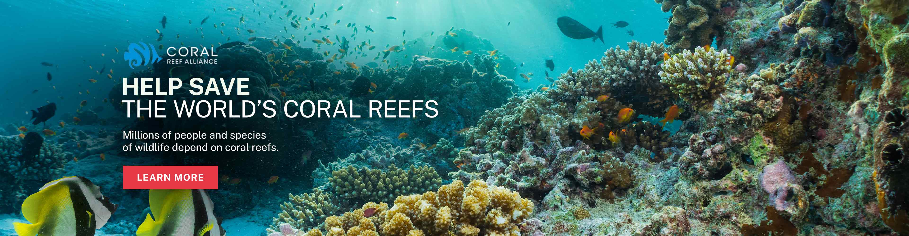 Coral Reef Alliance