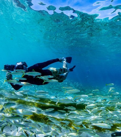 Free Under Water Camera App