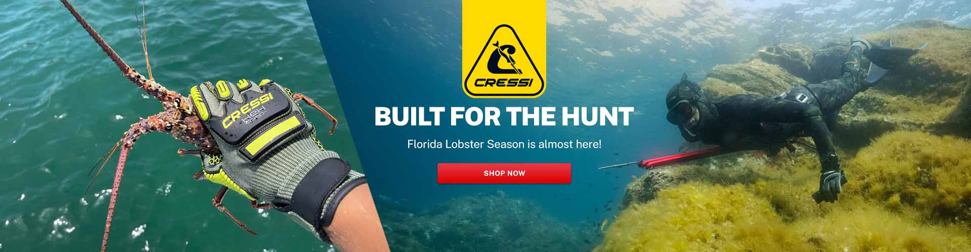 Cressi | Built for Lobster Season