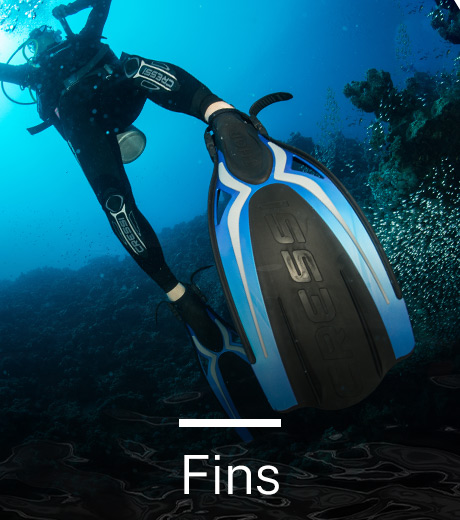 Fins