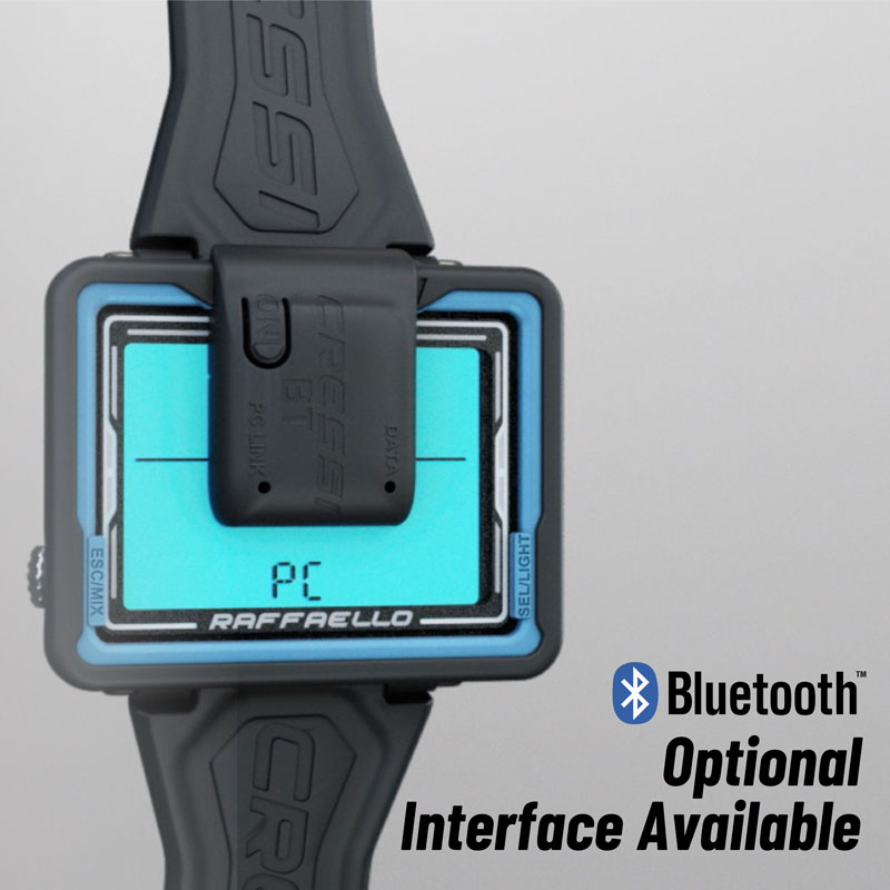Optional Bluetooth Interface