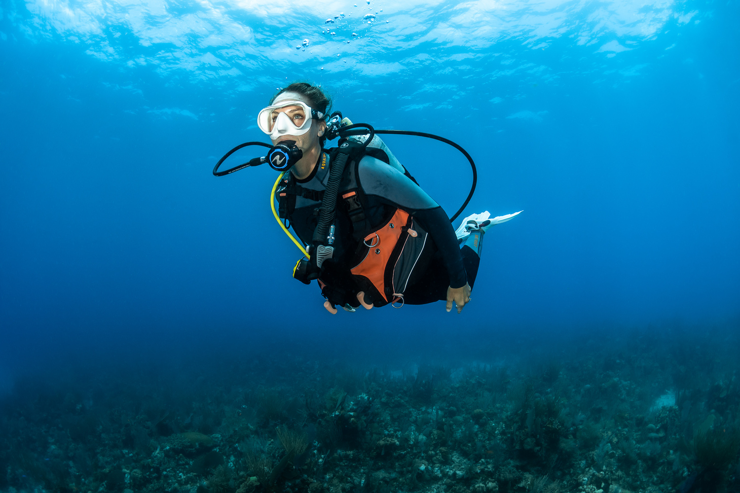 Aqualung Pro HD Compact BCD